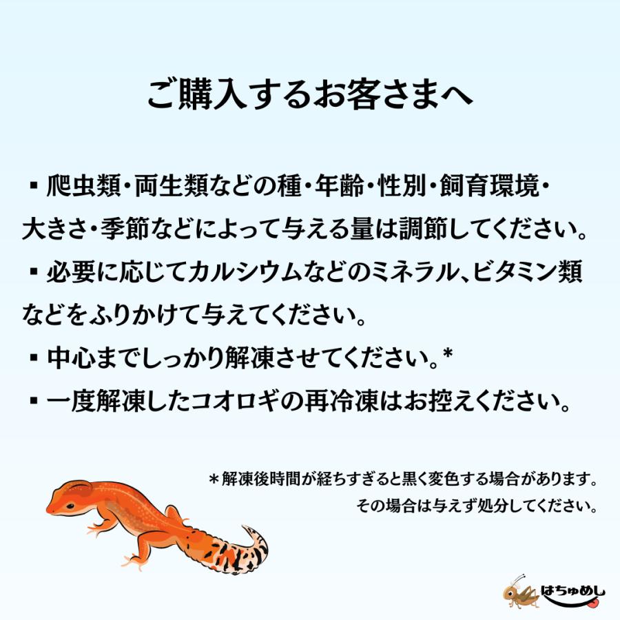 専用出品　清潔コオロギ2.2kg 冷凍コオロギ　ＭＬサイズ　クロコオロギ約2kg 8d5fe2c8a7c8a926ceaace97ab2796