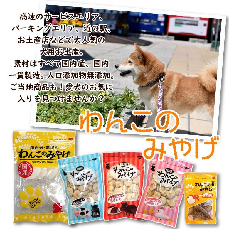 犬用 おやつ ブルーム Bloom わんこのみやげ 手羽先 5本入 Blsk 001 ペトリィ 通販 Yahoo ショッピング