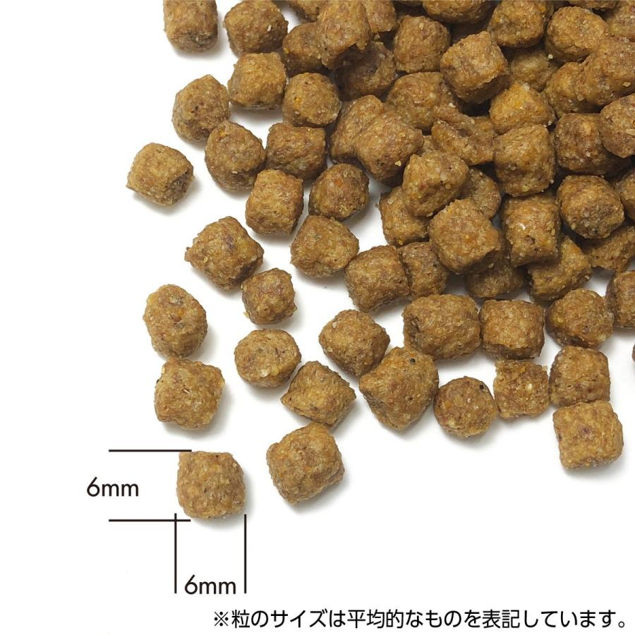 ドッグフード プリンシプル PRINCIPLE パピー 9kg (4.5kg×2)｜petrry｜02