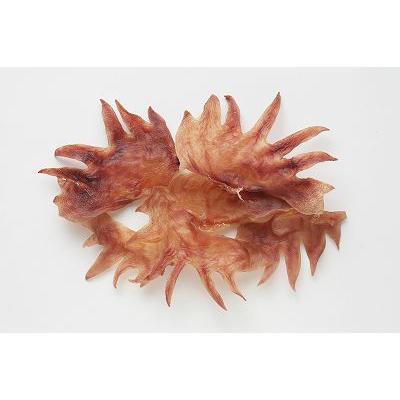 犬用おやつ 国産 天然素材 和鶏トサカ　ハード 30ｇ｜マルジョー＆ウエフク WTS-01 |  | 01