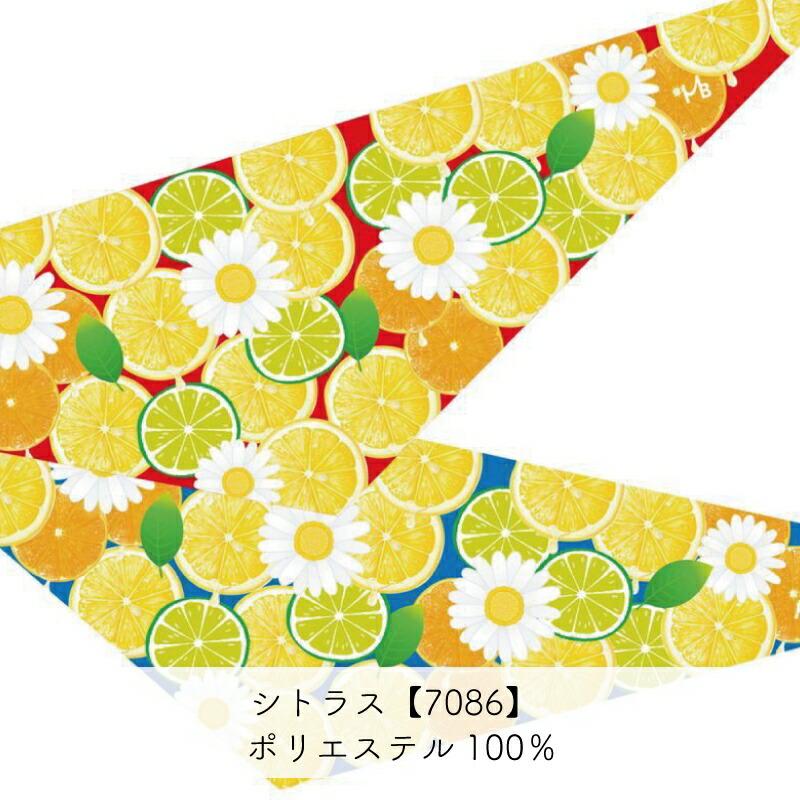 ペット用 選べるデザインバンダナ Mサイズ 10枚入 犬猫 首飾り サロン トリマーさんオススメ メール便3点までOK | ブランド登録なし | 22