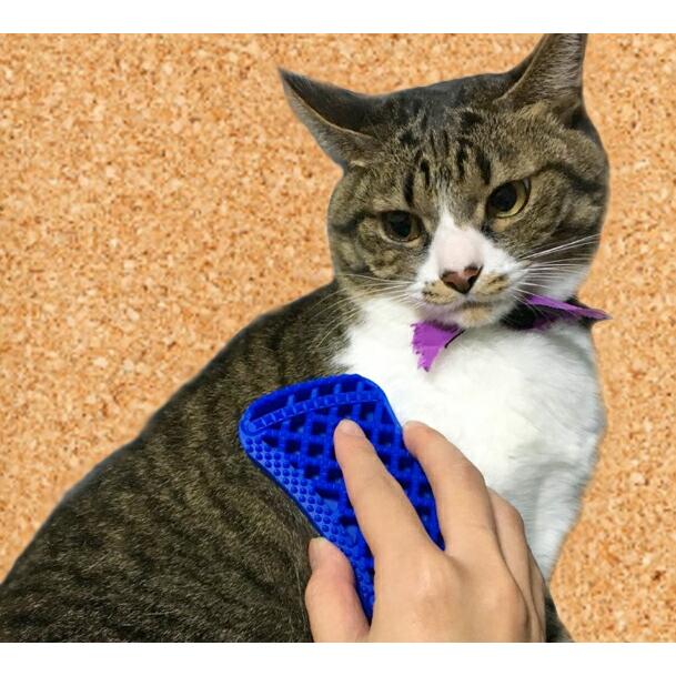 ペットアンドミー ラバーブラシ ソフト 短毛種用 (ブルー) 水洗い可能 ペット用 猫用 トリミング用品 グルーミング コンパクト | ブランド登録なし | 03