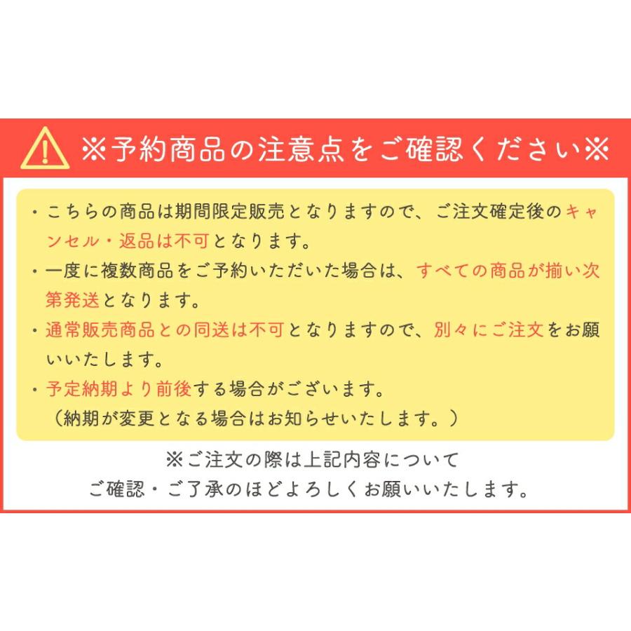 ハロウィン リボン 8308 30ヶ入 ペット用 猫用 業務用 飾り パンプキン メール便3点までOK |  | 02