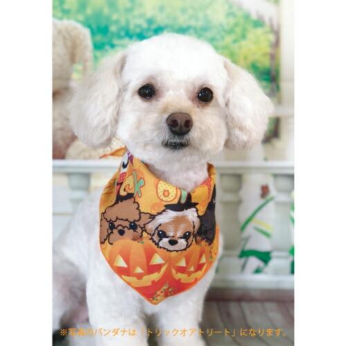 ペット用 ハロウィン スイーツ大好き！ベー君バンダナ Mサイズ 8626 10枚入 犬猫 飾り サロン トリマーさんオススメ パンプキン メール便3点までOK | ブランド登録なし | 02