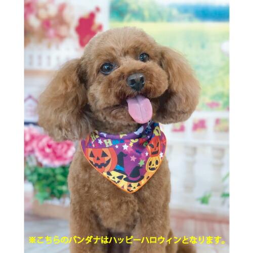 ペット用 ハロウィン スイーツパーティーバンダナ SSサイズ 8622 10枚入 犬猫 飾り サロン トリマーさんオススメ パンプキン メール便6点までOK | ブランド登録なし | 01