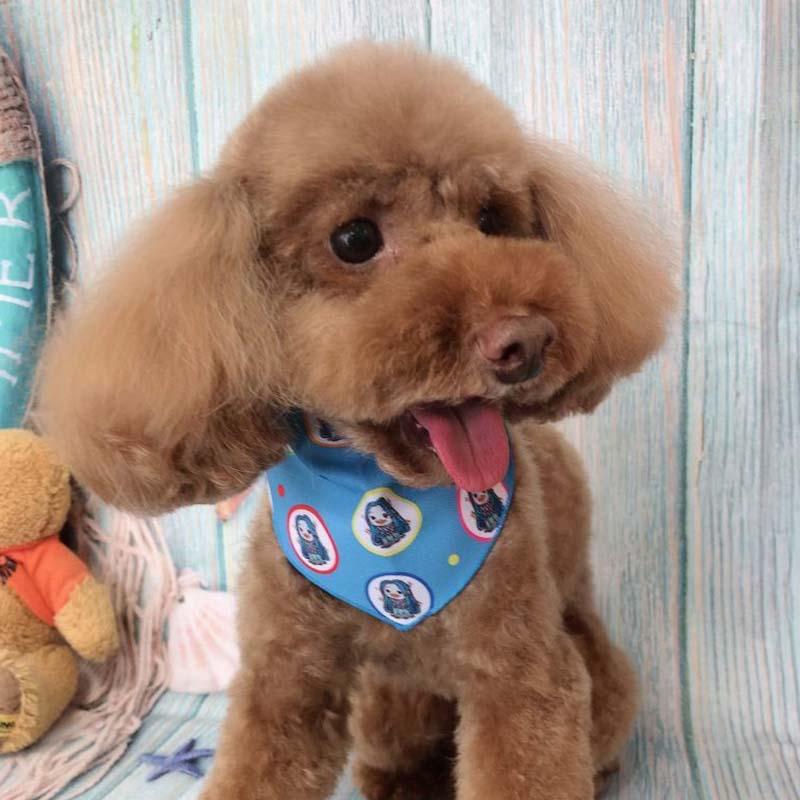 メール便可 ペット用バンダナ 犬用バンダナ アマビエバンダナ M G 358 10枚入 アクセサリー リボン 業務用 Dmsコミュニケーション 通販 Yahoo ショッピング