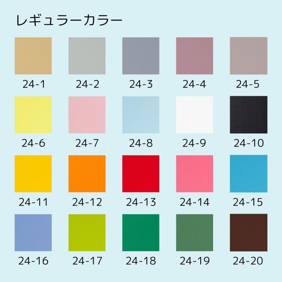 ドリーム ドッグバス ドリーム産業 BS-900 スノコ付 ペット 犬用