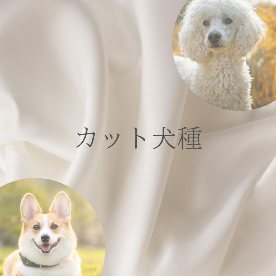 犬用 Pro Shampoo 4LARC& Pro Rinse 4L | ヤマダウェブコム