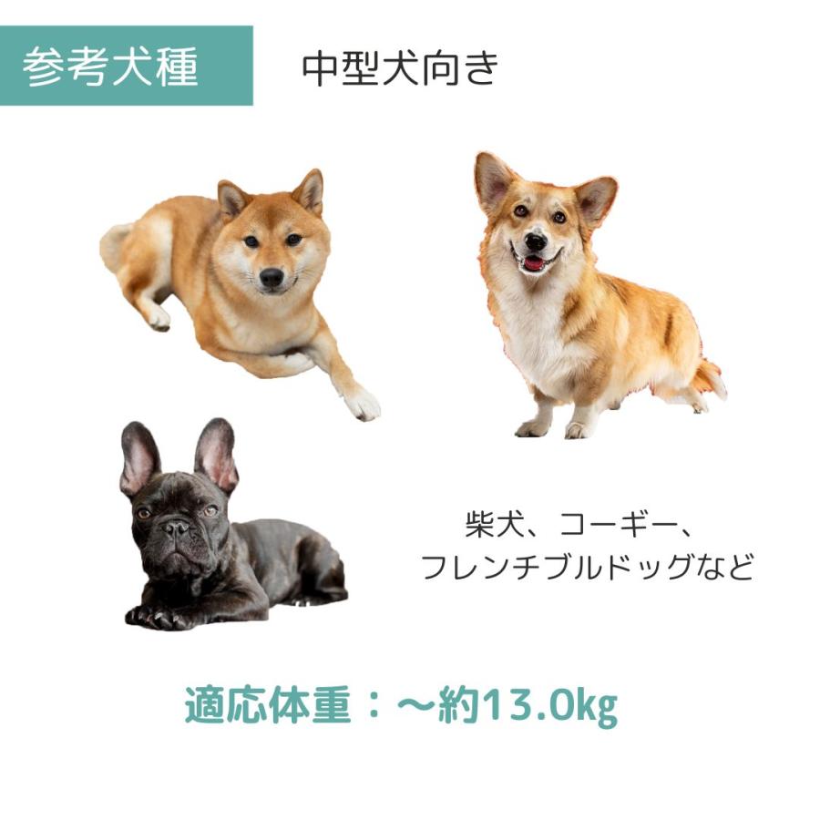 ペットメイト ウルトラバリケンネル M ペット用 犬用 バリケン Petmate 
