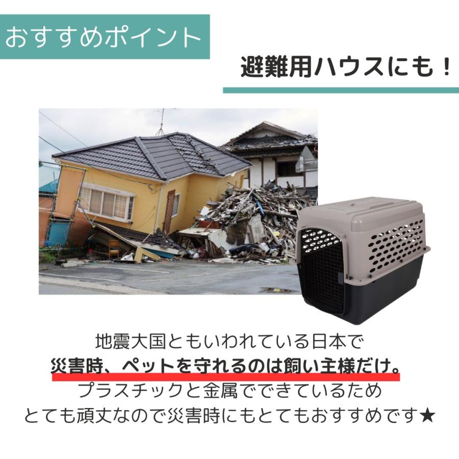 ペットメイト バリケンネル L ペット用 犬用 バリケン Petmate 送料