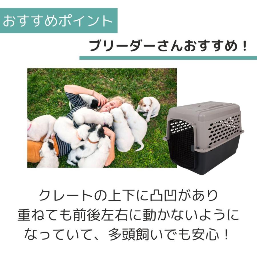 ペットメイト バリケンネル L ペット用 犬用 バリケン Petmate 送料