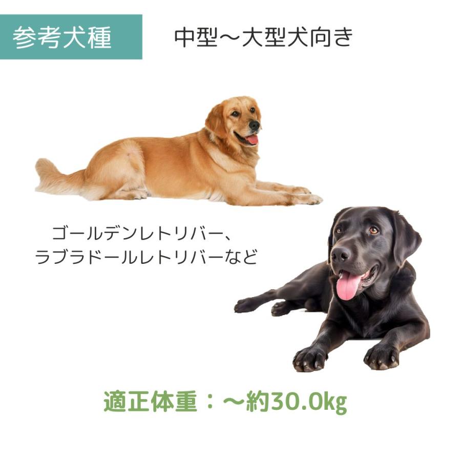 ペットメイト バリケンネル L ペット用 犬用 バリケン Petmate 送料