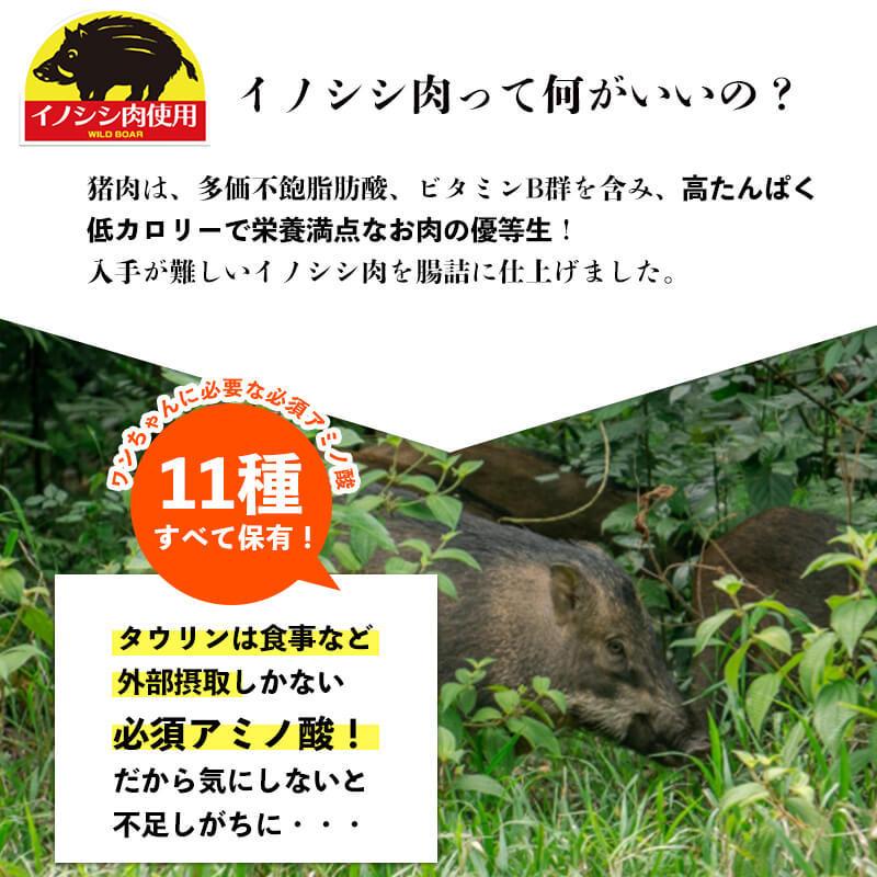 (メール便送料無料)犬 おやつ  溝陸舎 猪(いのしし）肉100％の腸詰め 60g  日本製  サポートペットフード ドッグフード 送料対策｜petselect｜04