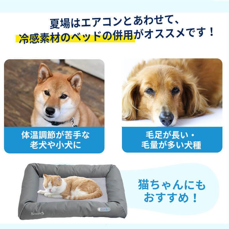 定番のお歳暮 冬ギフト Petselect 高級 ペットベッド クール ベッド Xl インポート 犬 洗える 洗濯 ひんやり 冷却 ジェル 猫 ペット用 ペットセレクト Discoversvg Com