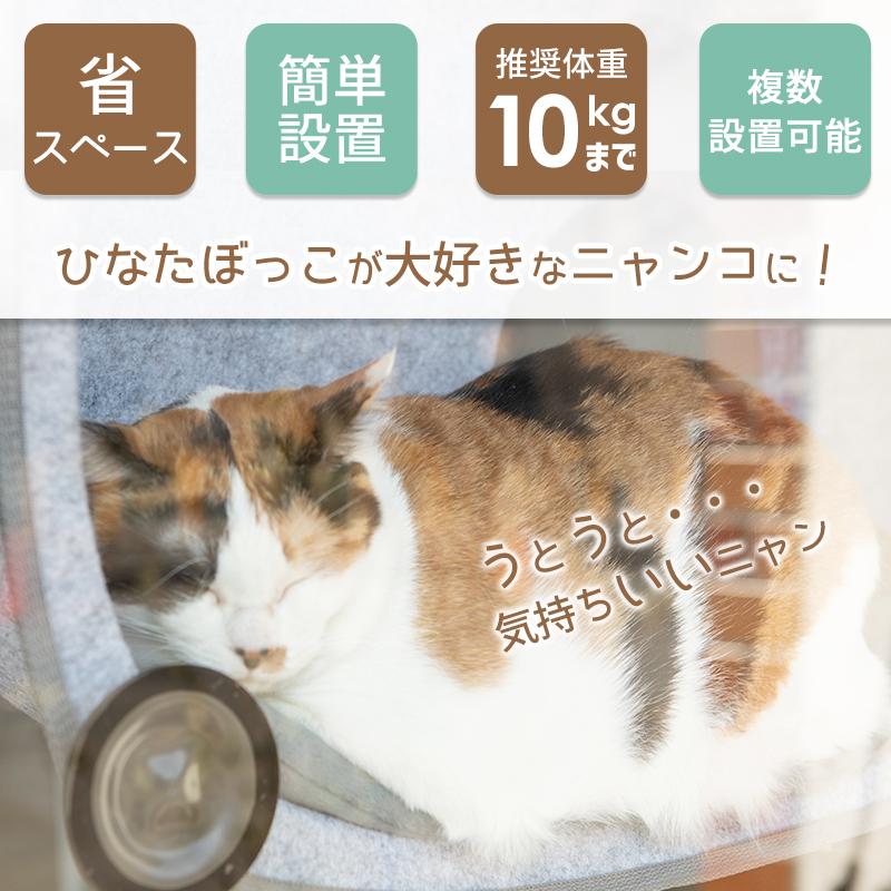 猫 窓用 ベッド ひなた ニャンコ そらまめ 猫用 ウィンドウベッド ウインドウ 窓 ねこ ベット キャットハンモック Pet Select By Nihonikujiヤフー店 通販 Yahoo ショッピング