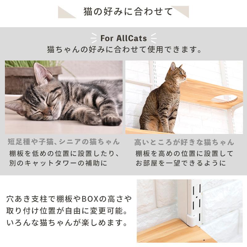 Pet Select by Nihonikuji ペットセレクト(公式) キャット Pet Select by Nihonikuji ペットセレクト(公式) キャット