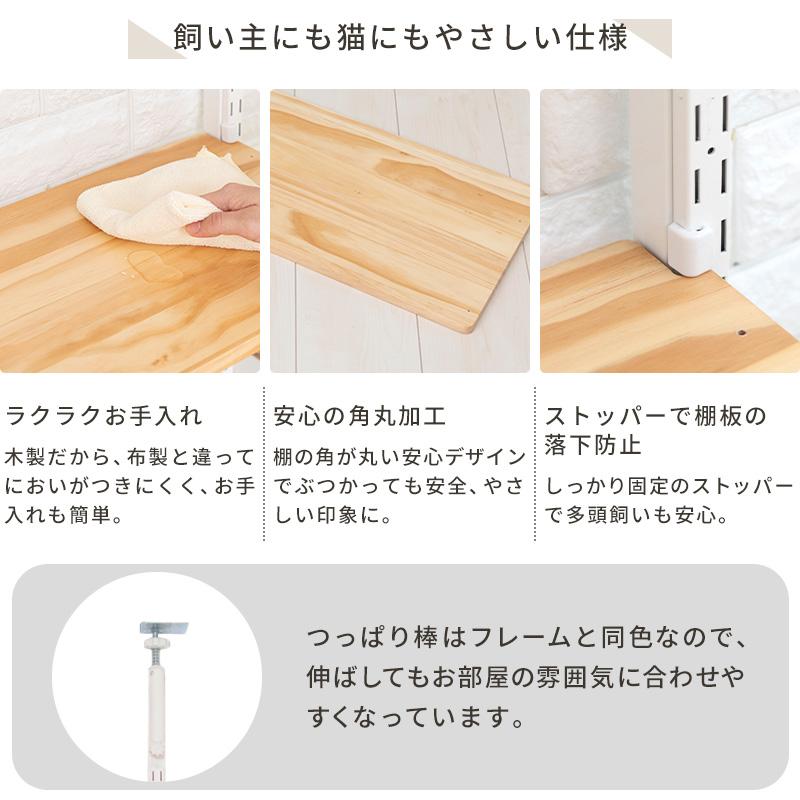 Pet Select by Nihonikuji ペットセレクト(公式) キャットウォーク