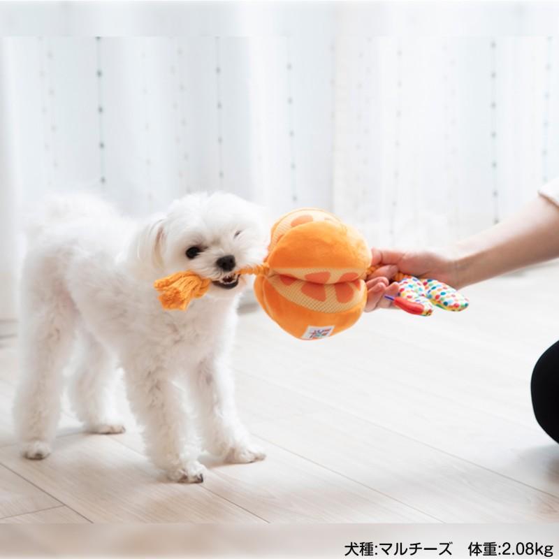 犬用 おもちゃ はらぺこあおむし forPet ふわふわロープトイ オレンジ/ アップル ソフトトイ ロープ ericcarle | Pet Select by Nihonikuji | 11