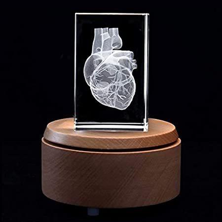 3d 人間の心臓 解剖学的モデル ペーパーウェイト レーザーエッチング スプリング店 科学ギフト Ledベース付き 文具 ステーショナリー クリスタルガラスキューブ B08qclpllx Ledベース付き B08qclpllxならショッピング ランキングや口コミも豊富なネット通販 更に