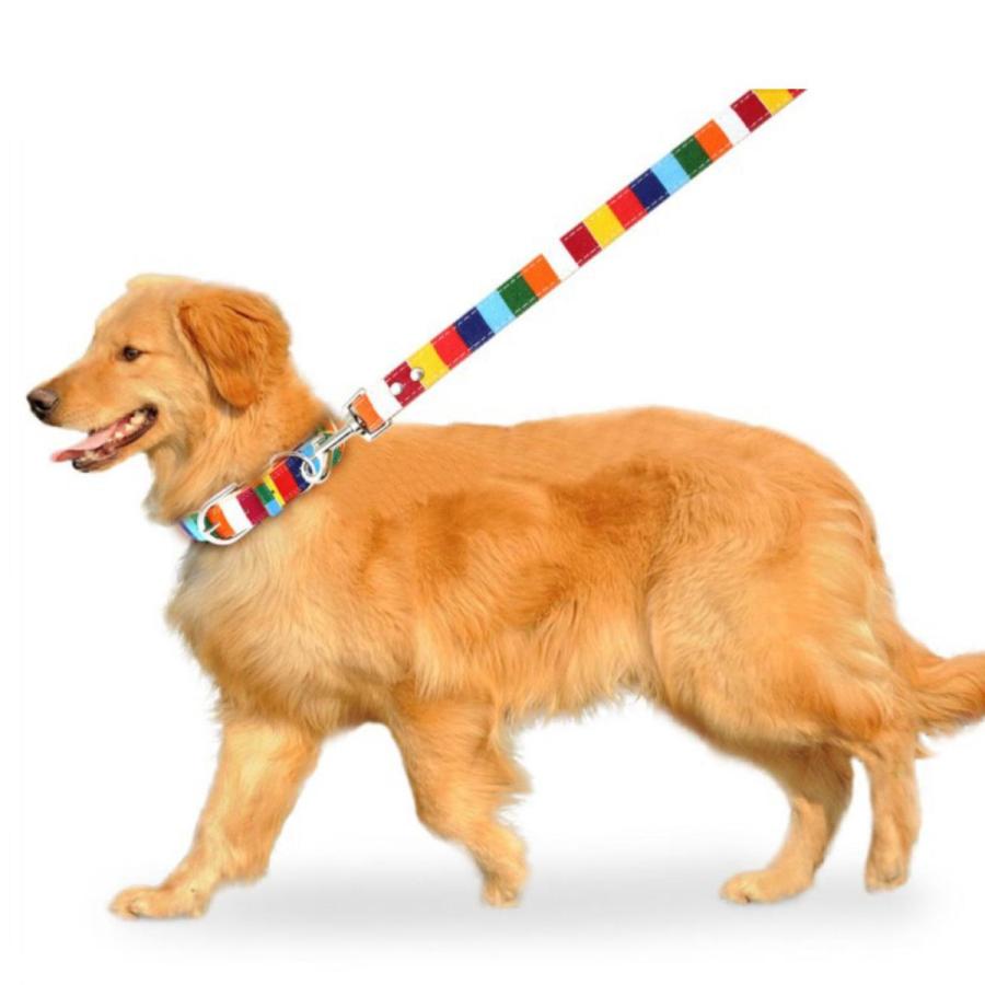 犬 首輪 リード セット 小型犬 中型犬 レインボー カラフル 可愛 S M L