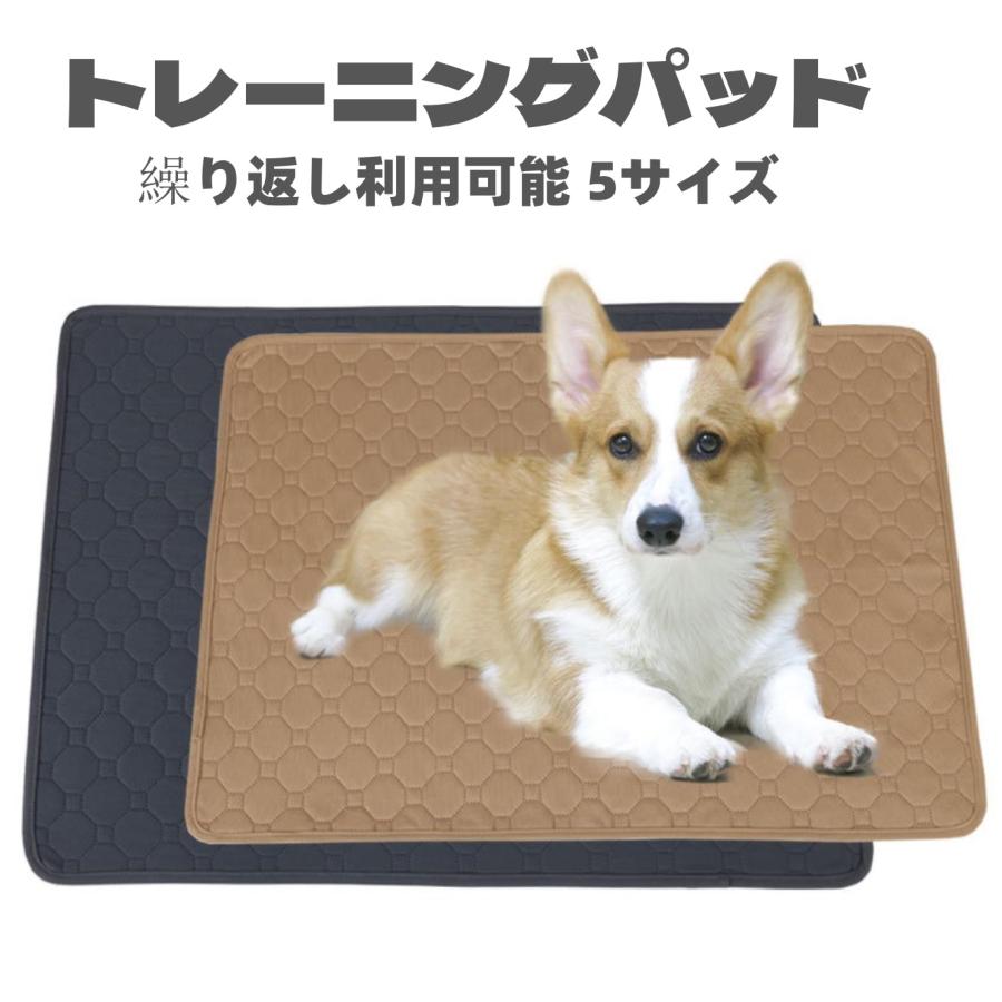 圧倒的高評価!】ペット用おしっこマット ペットシーツ 犬用トイレマット トレーニングパッド ペットシーツ 洗える 消臭 速乾 環境に優しい 反復使用 :DRMNDL:ペットショップベルファ - 通販 - Yahoo!ショッピング 圧倒的高評価!】ペット用おしっこマット ペットシーツ 犬用トイレマット トレーニングパッド ペットシーツ 洗える 消臭 速乾 環境に優しい 反復使用 :DRMNDL:ペットショップベルファ - 通販 - Yahoo!ショッピング