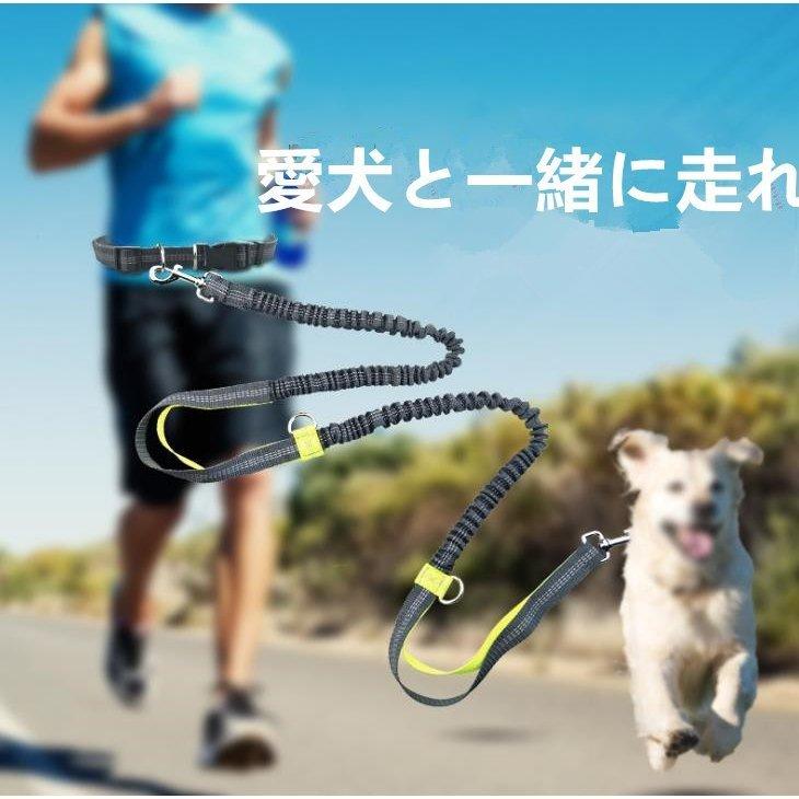 犬用【本革】ハンドフリーリードandハーネス多頭飼い用！2匹❗️