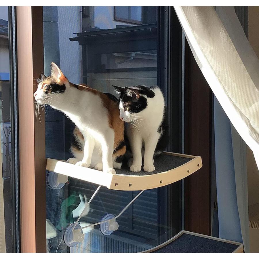 吸盤 3個セット 猫ハンモック 交換用 猫 窓ベッド 詰め替え用吸盤 窓