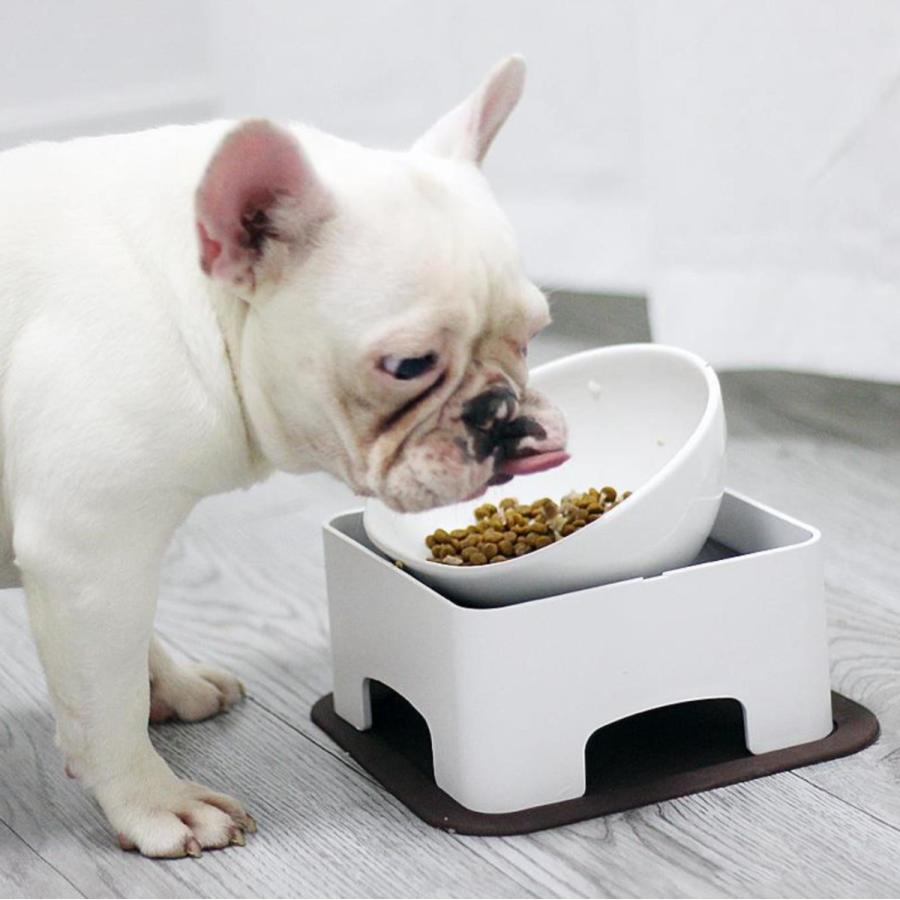 犬 食器 陶器 食器スタンド フレンチブルドッグ 皿 テーブル 給食台セット 陶器 猫用 小/中型犬用 お洒落 お食事がラク 滑り止め マット