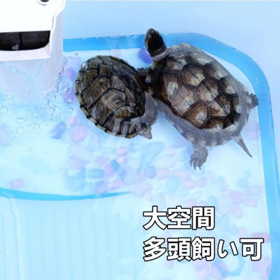 亀の楽園 亀の水槽 カメ 飼育ケース ボックス タートルタンク 日向ぼっこ台 ミドリガメ クサガメ スッポン 観察 排水孔 階段 エサ皿 大 60cm 特大 74cm Sskameboxll ペットショップベルファ 通販 Yahoo ショッピング