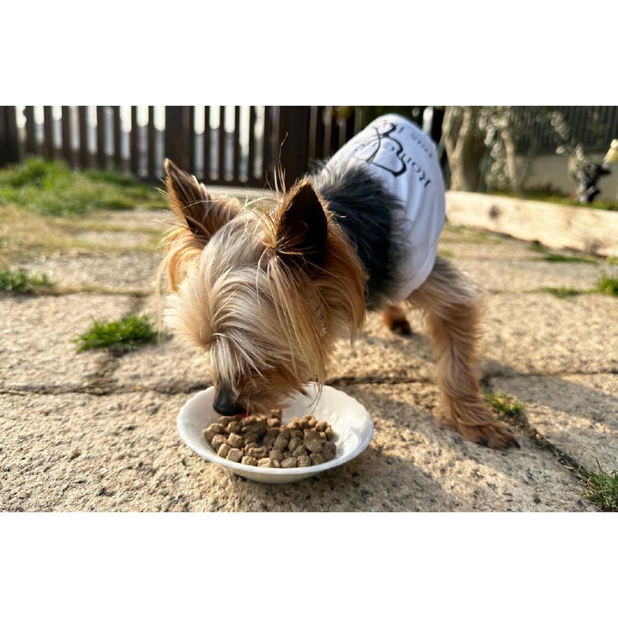 ドッグフード グレインフリー  穀物不使用 国産無添加 犬 とりぽてと 500g 手作り アレルギー 鶏肉 犬ごはん ドライフード |  | 13