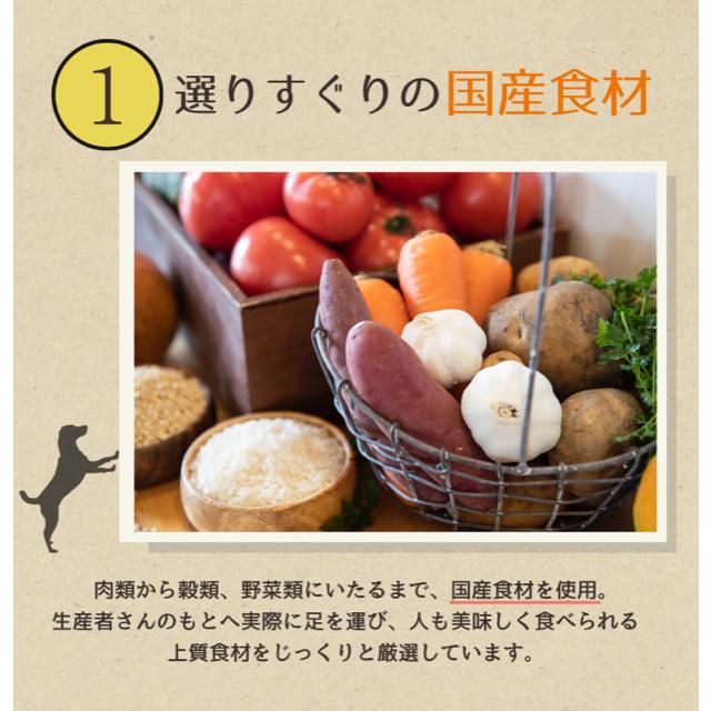 ドッグフード グレインフリー  穀物不使用 国産無添加 犬 とりぽてと 500g 手作り アレルギー 鶏肉 犬ごはん ドライフード |  | 06