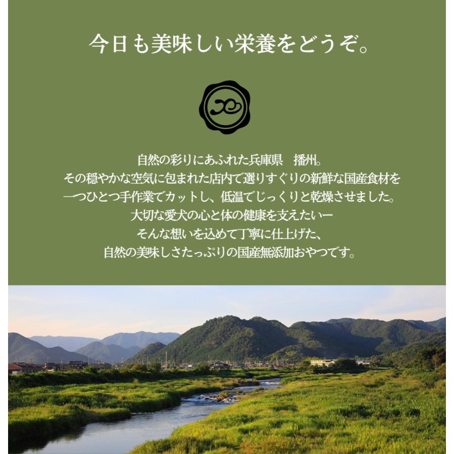 犬おやつ 無添加 国産 手作り 鹿ボーン 1本 公式 鹿骨 ジビエ ボーン ストレス解消 長持ち 一人遊び 歯磨き｜petslani｜02