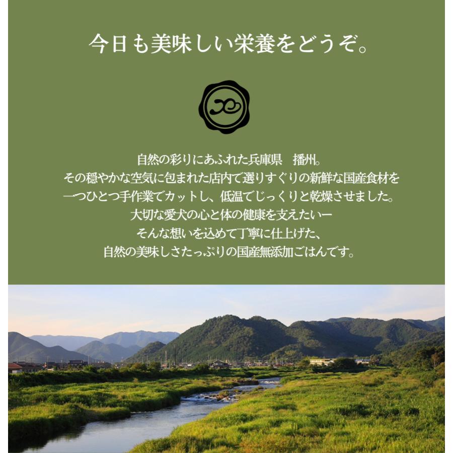 ドッグフード グレインフリー  穀物不使用 国産無添加 とりしかぽてと 30g お試し 手作り 鶏肉 鹿肉 アレルギー 犬ごはん｜petslani｜04