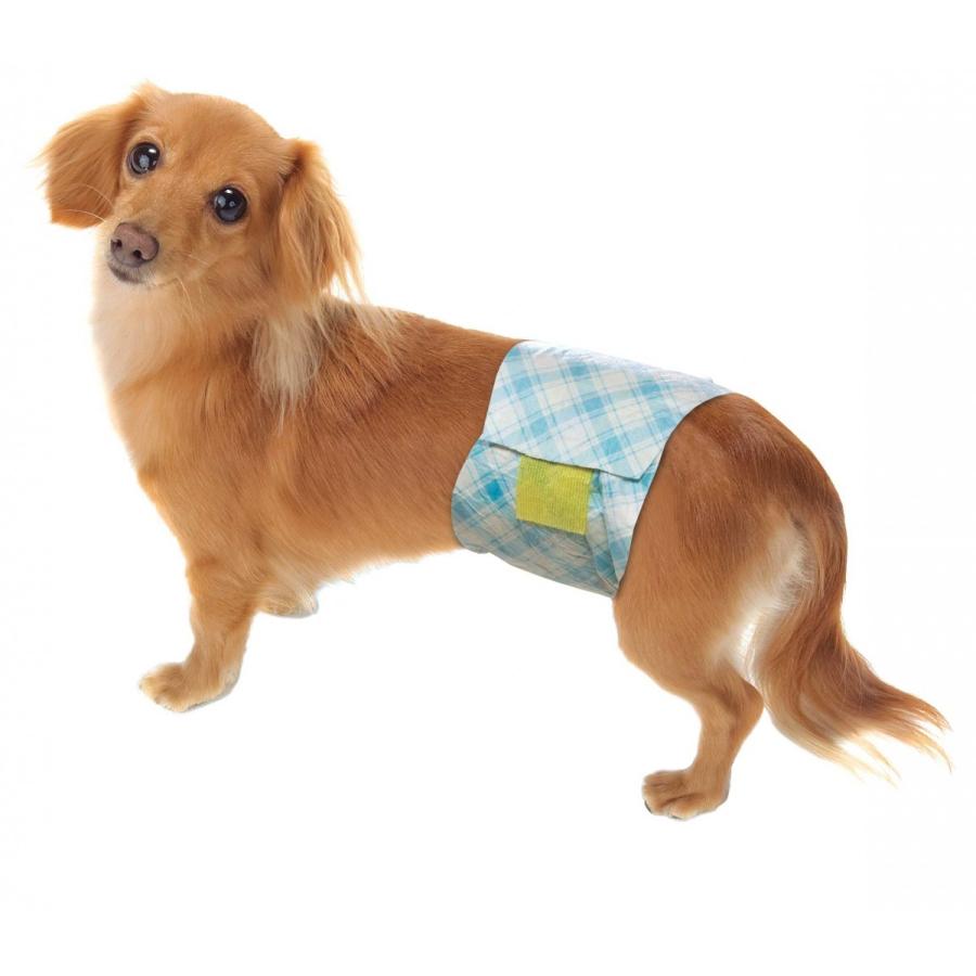 男の子のためのマナーおむつおしっこ用 中型犬|petslove|02