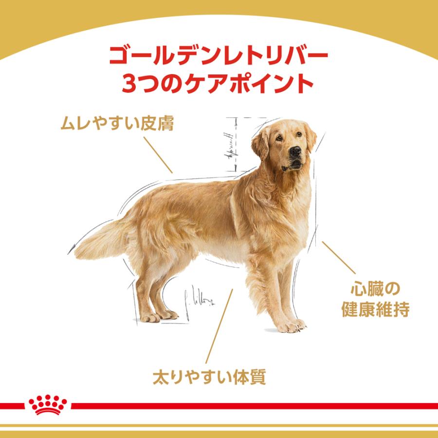 4個セット ロイヤルカナン ゴールデンレトリバー 成犬〜高齢犬用 3kg×4個セット｜petsmum2｜02