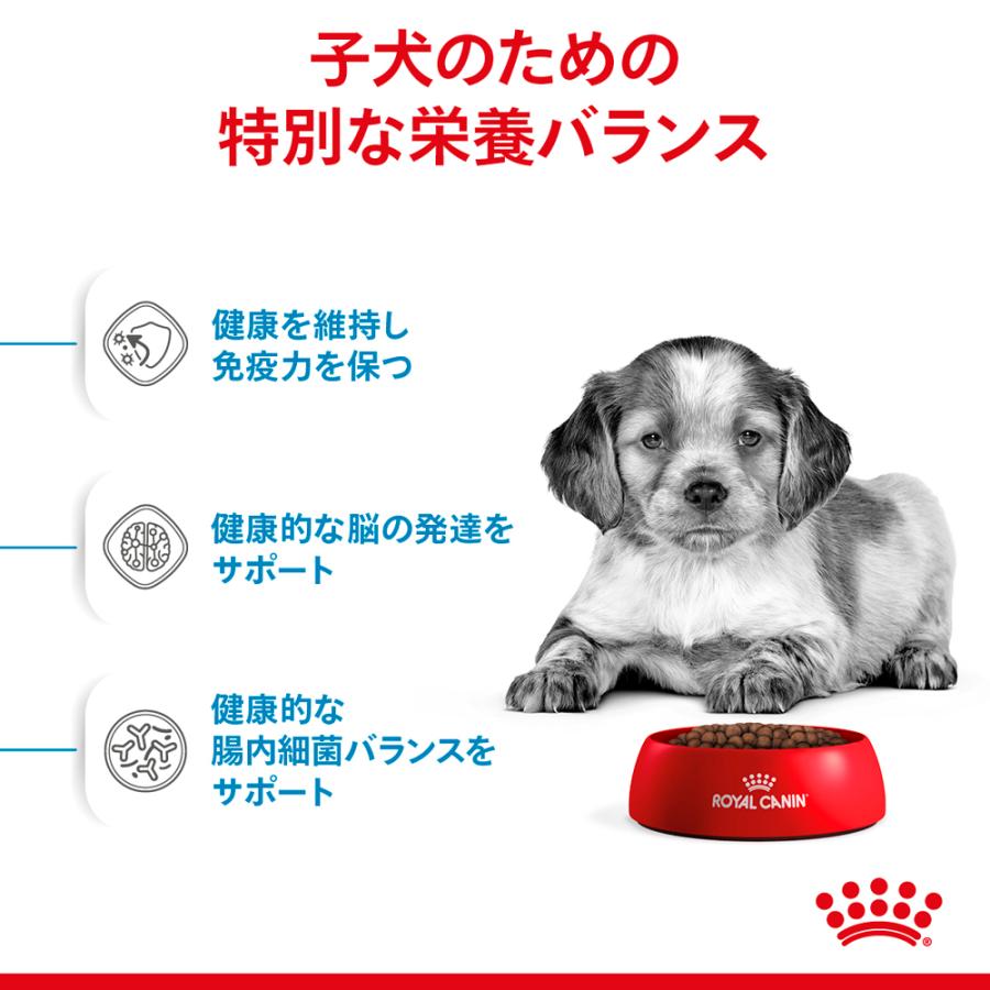 2個セット ロイヤルカナン ミディアム パピー（中型犬専用フード 子犬用）10kg×2個セット｜petsmum2｜03