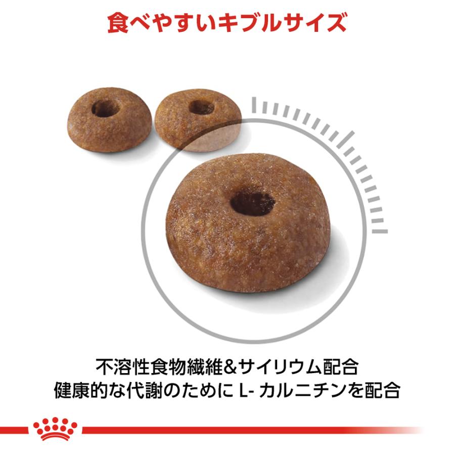 6個セット ロイヤルカナン ライト ウェイト ケア 1.5kg×6個セット (減量したい猫専用フード)｜petsmum2｜04