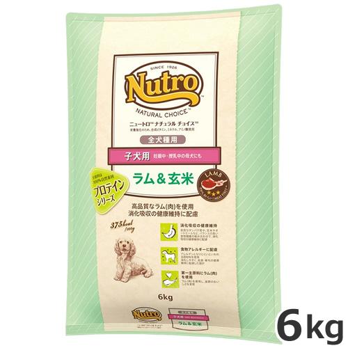 ニュートロ　ラム玄米子犬用　6キロ✖️2袋 ニュートロ ナチュラルチョイス ラム＆玄米 子犬用 全犬種用 6kg4月末