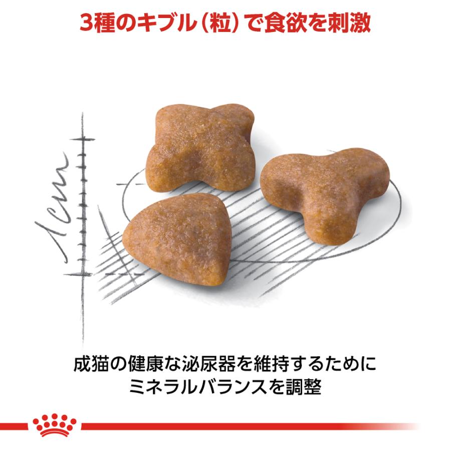 ロイヤルカナン センシブル 400g（食が細い猫専用フード 成猫用）｜petsmum2｜04