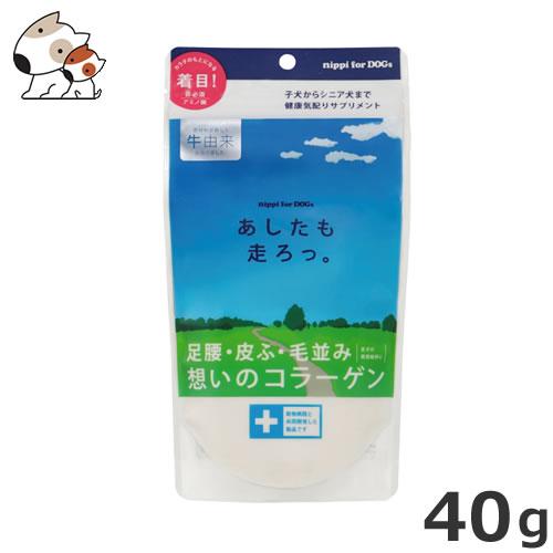 メール便】ニッピ あしたも走ろっ。 犬用健康補助食 40g サプリメント