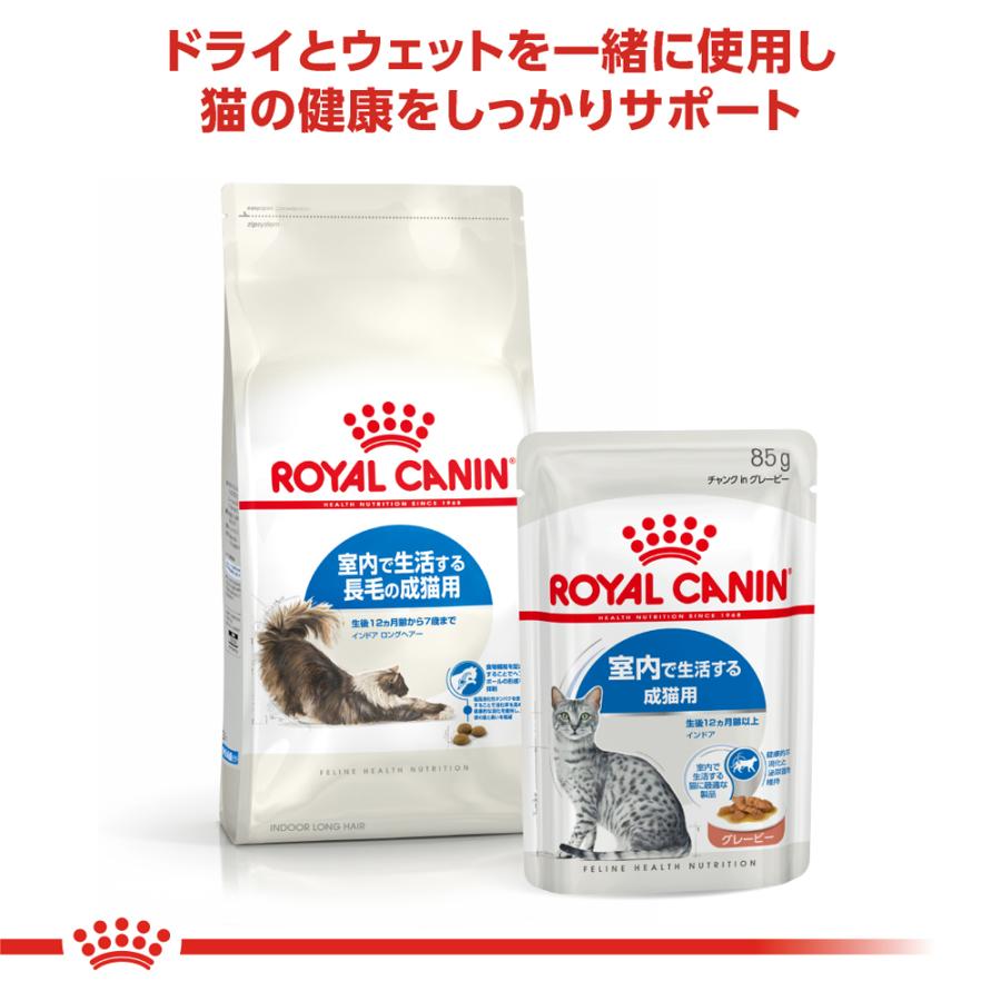 ロイヤルカナン インドア ロングヘアー 室内で生活する長毛の成猫用 400g｜petsmum2｜05