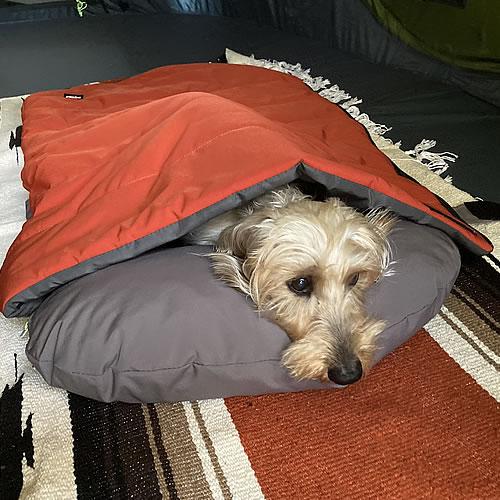 ペットアイ ペット用シュラフ オレンジ 犬用寝袋 アウトドア キャンプ