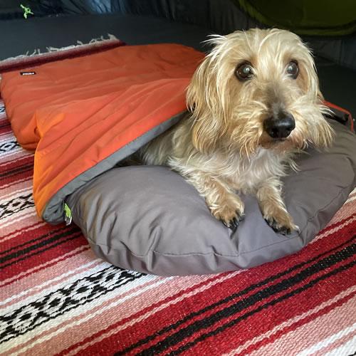 ペットアイ ペット用シュラフ オレンジ 犬用寝袋 アウトドア キャンプ