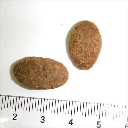 2個セット ニュートロ シュプレモ 全犬種用 体重管理用 4kg×2個セット_2