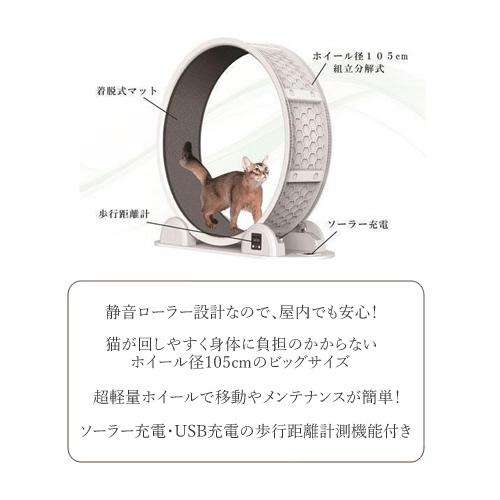 ○B-blast キャットホイール ビーブラスト 猫用品 おもちゃ 運動 爪