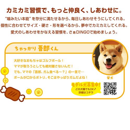 ☆【10/18までSALE】スペクトラムブランズジャパン ディンゴ トリプル