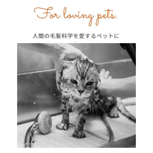 ハイアスピレーション LOHAS'LINO ロハスリノ シャンプー 700ml 犬用