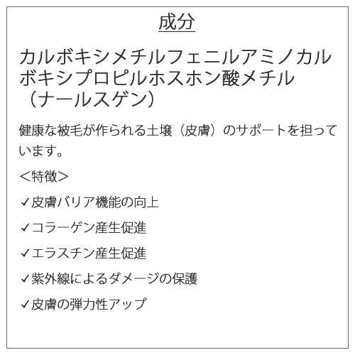 ハイアスピレーション C-CELL'LINO シセルリノ C-CELL ANSWER シセル