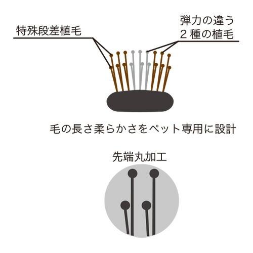 ハイアスピレーション C-CELL'LINO FIT TOOLS シセルリノ フィット
