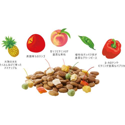 ニュートロ シュプレモ プレミアムブレンド ビーフ 超小型犬